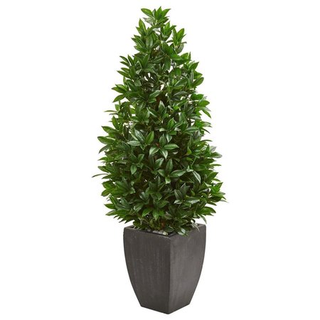 DARE2DECOR 56 in. Bay Leaf Cone Topiary Artificial Tree in Black Planter DA2623488